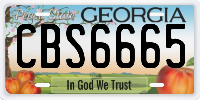 GA license plate CBS6665
