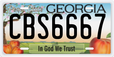 GA license plate CBS6667