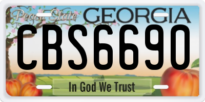 GA license plate CBS6690