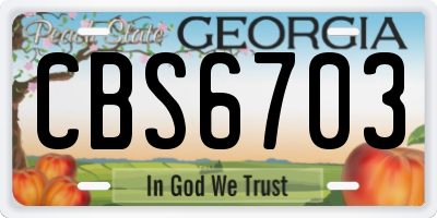 GA license plate CBS6703