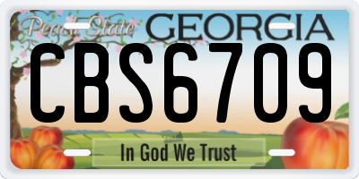 GA license plate CBS6709