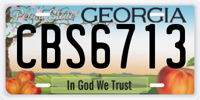 GA license plate CBS6713