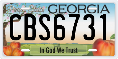 GA license plate CBS6731