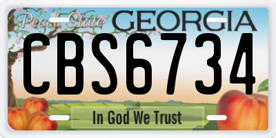 GA license plate CBS6734