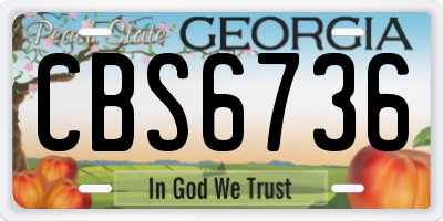 GA license plate CBS6736