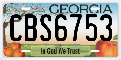 GA license plate CBS6753
