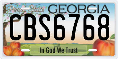 GA license plate CBS6768