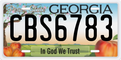 GA license plate CBS6783