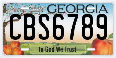 GA license plate CBS6789