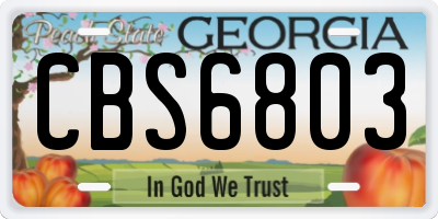GA license plate CBS6803