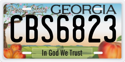 GA license plate CBS6823