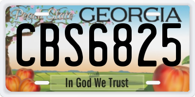 GA license plate CBS6825