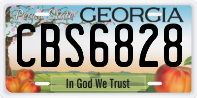 GA license plate CBS6828