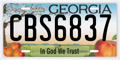 GA license plate CBS6837