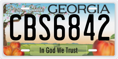 GA license plate CBS6842