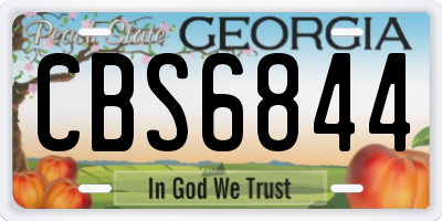 GA license plate CBS6844