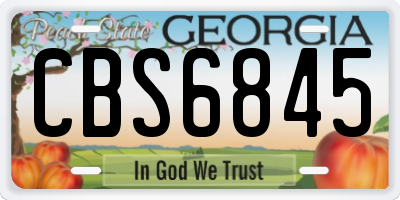 GA license plate CBS6845