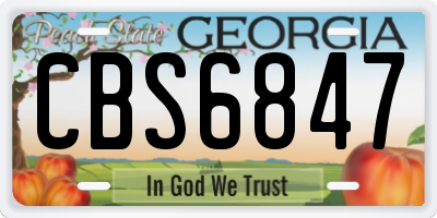GA license plate CBS6847