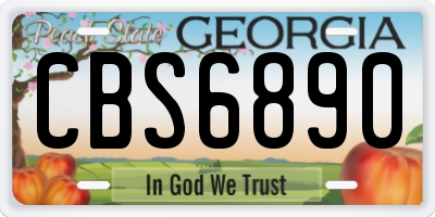 GA license plate CBS6890
