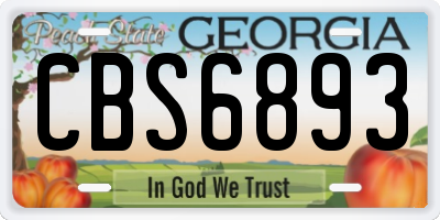 GA license plate CBS6893