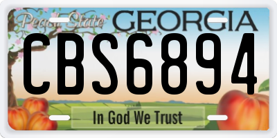 GA license plate CBS6894