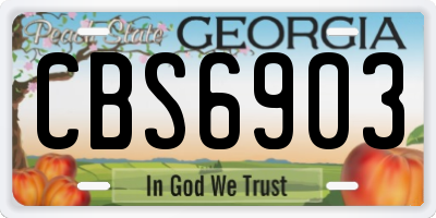 GA license plate CBS6903