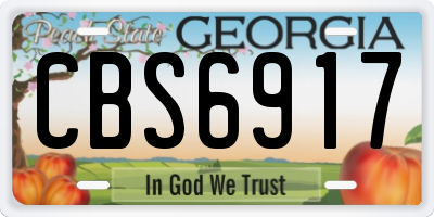 GA license plate CBS6917