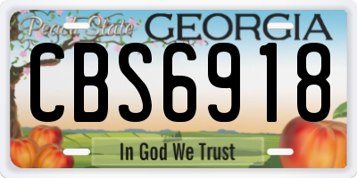 GA license plate CBS6918