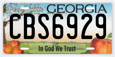 GA license plate CBS6929