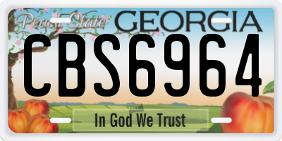 GA license plate CBS6964