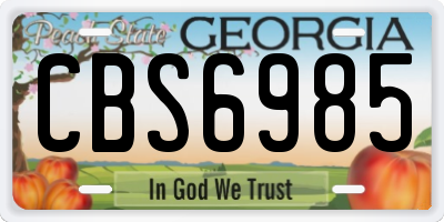 GA license plate CBS6985