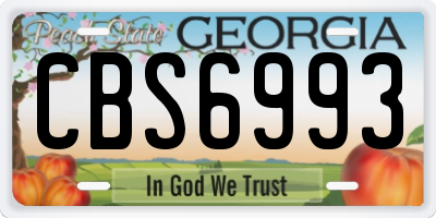 GA license plate CBS6993