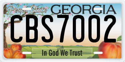 GA license plate CBS7002