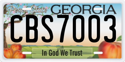 GA license plate CBS7003