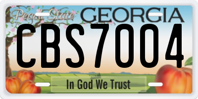 GA license plate CBS7004