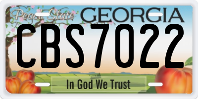 GA license plate CBS7022