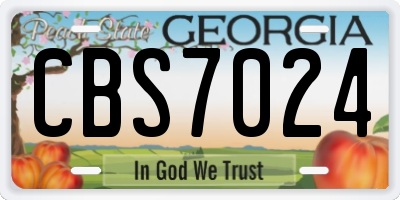 GA license plate CBS7024