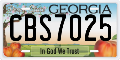 GA license plate CBS7025
