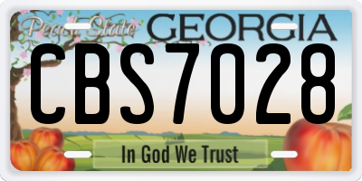 GA license plate CBS7028
