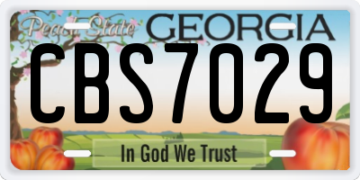 GA license plate CBS7029
