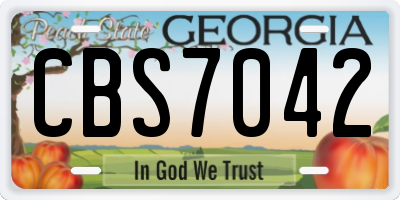GA license plate CBS7042