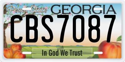 GA license plate CBS7087