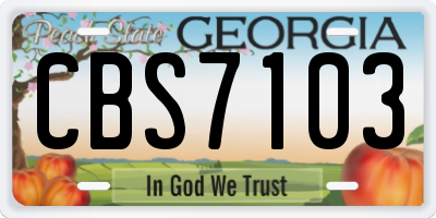 GA license plate CBS7103