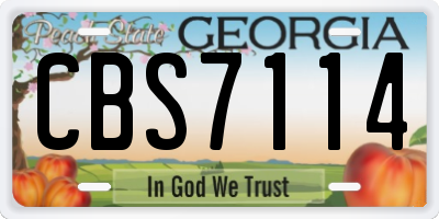 GA license plate CBS7114