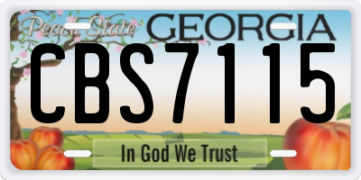 GA license plate CBS7115