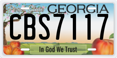 GA license plate CBS7117