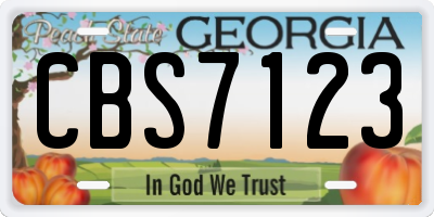 GA license plate CBS7123