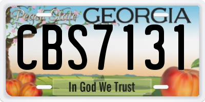 GA license plate CBS7131
