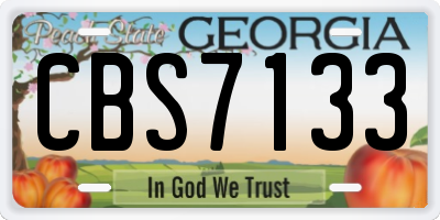 GA license plate CBS7133