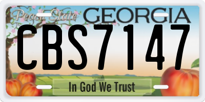GA license plate CBS7147